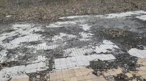 20260425 Сх выставка Ресторан Цон Богатырская застав Поклонный крест Знаменский лесопарк г Орёл знак