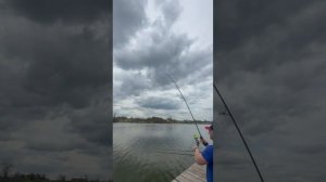 Весенний карп