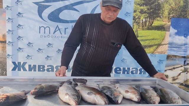 Беседа с рыбаком