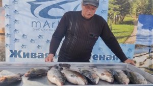 Беседа с рыбаком