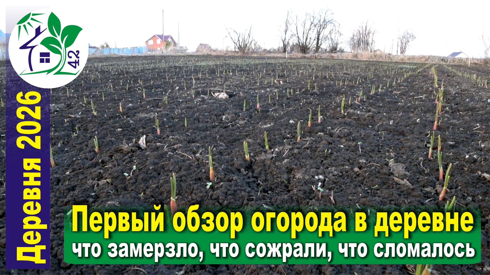 Первый обзор огорода в деревне. Что замерзло, что сожрали мыши, что сломалось ...