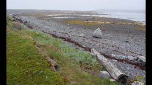 Полуостров Рыбачий Утро на турбазе Большое Озерко часть 1 фото