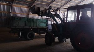 ЗИЛ возит зерно, МТЗ грузит зерно, МТЗ 1523 масло с колеса