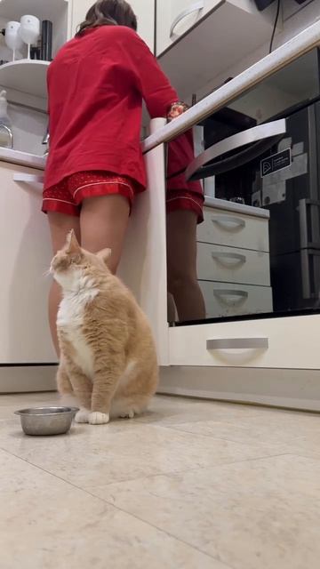 Просто кЫска