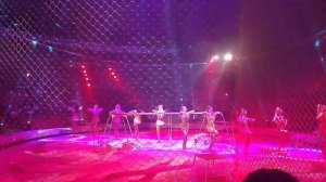 Большой Московский Государственный Цирк и100рия