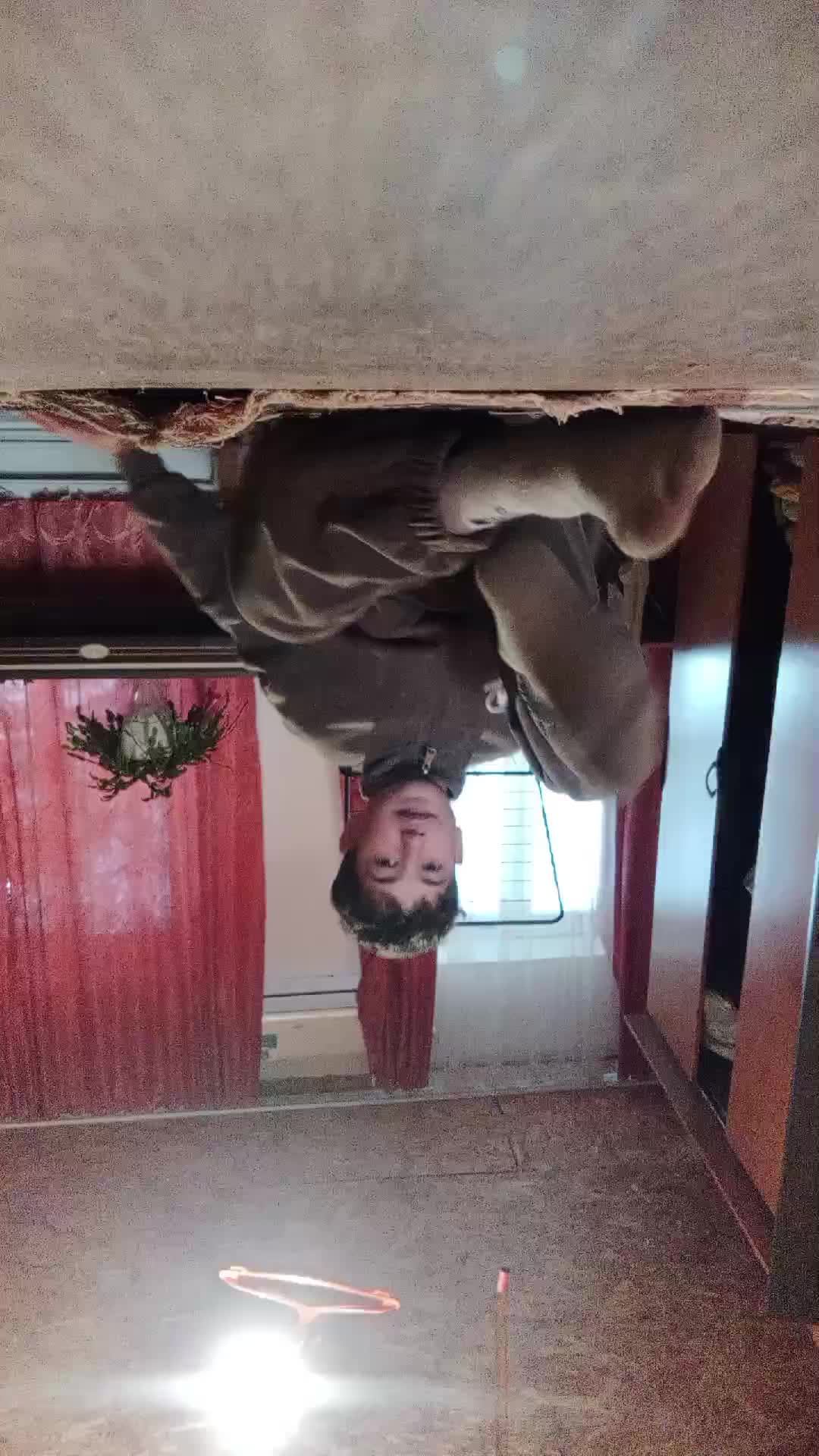 учусь ходить на руках