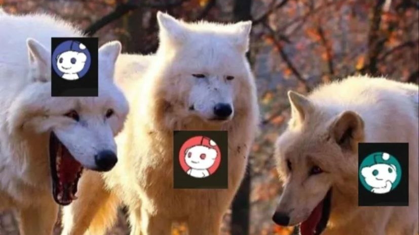 первый раз запускаю стрим с экрана телефона