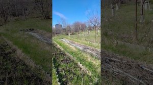 Видео для продажи, дача тнаис