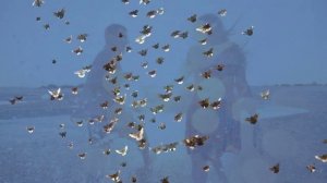 НА СТО ЛЕТ ВПЕРЁД