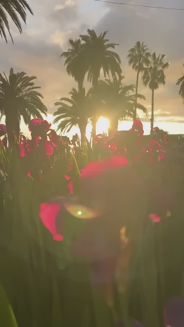 Страна Души АБХАЗИЯ 🌴#абхазия