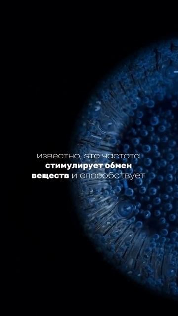 #заработок #удаленнаяработа #работа #работавдекрете #топ #работамечты