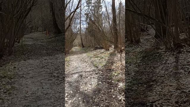 Одинцовские тайники