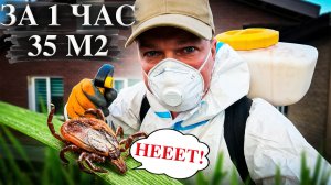 Разнесли половину ДОМА. Обработка участка от КЛЕЩЕЙ: эффективный способ