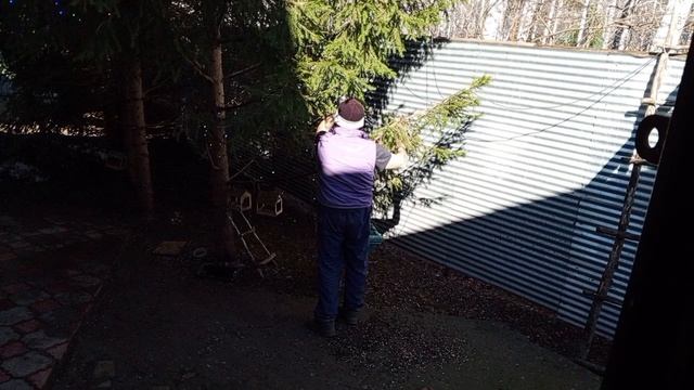 дикие белки