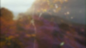 Обман осенний