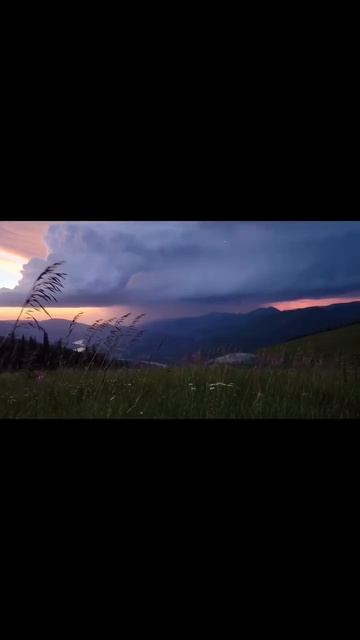 Видео от Департамент Кринжовых Видосов | ДКВ