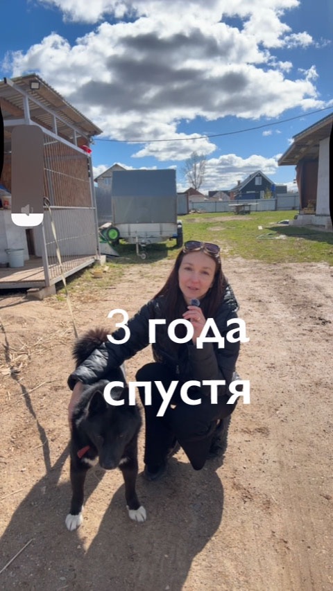 Обзор участка 3 года спустя