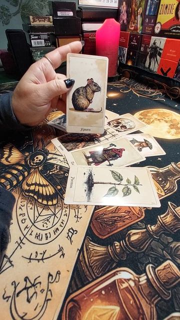 На что нужно обратить внимание в самое ближайшее время 🕘!?