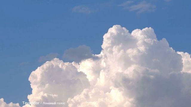 Tavendor - Ломаный голос. энергичное техно с вокодерами. 2026 год.