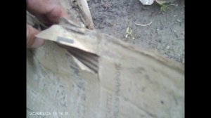 Вкусняшки они и у червячков вкусняшки.