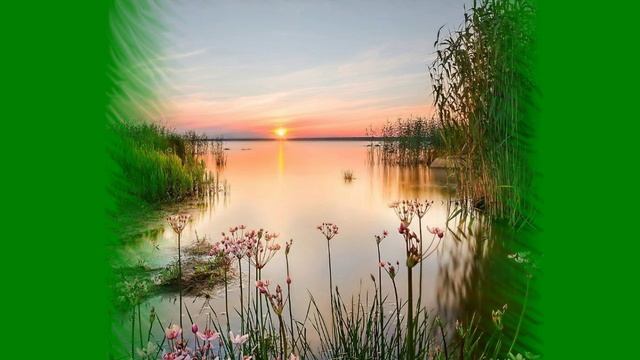 Татьяна Чубарова - Ненавижу, но люблю...