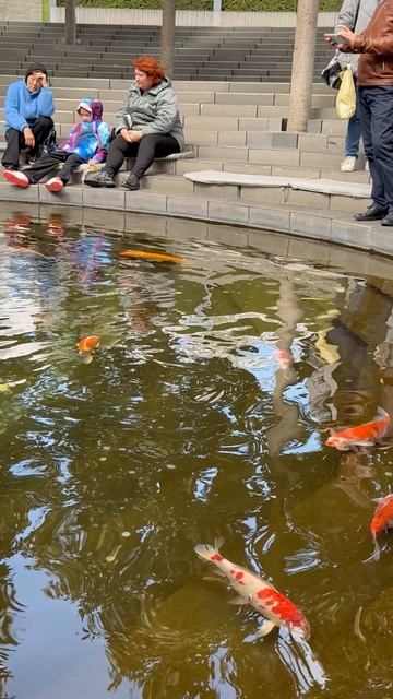 Парк Галицкого