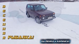 Весенняя Рыбалка на Хариуса и Ленка 2026!
Р Ы Ж А Я!!!