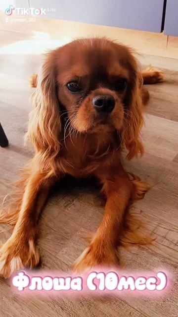 Первое видео🌻🩷!