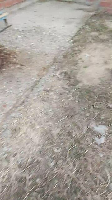 VID_20260425_202756.mp4