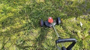 25.04.2026 моя помощница