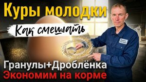 Куры молодки. Смешиваем гранулы и дроблёнку и экономим деньги