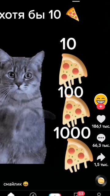 SVID_20260422_143728_1.mp4