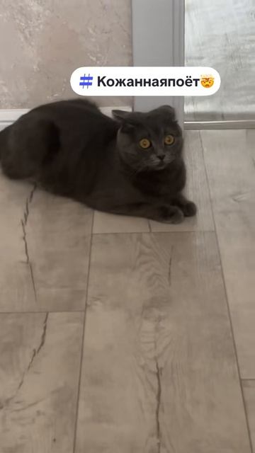 #рек #кожанаяпоет