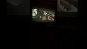 фильм Африка