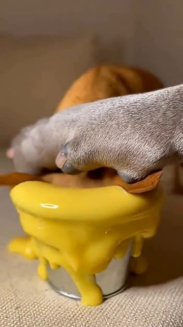 Не хотел делиться