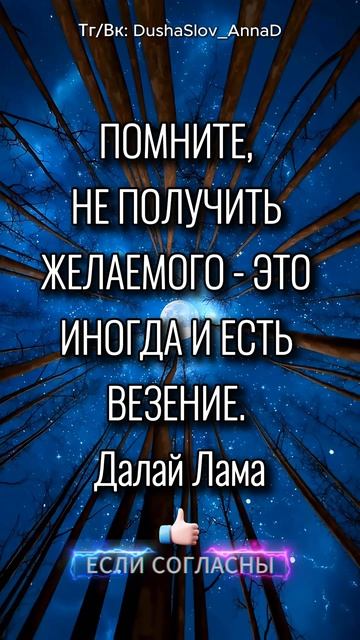 Вот как Далай-Лама описал ПАРАДОКС ВЕЗЕНИЯ. Согласны с ним? #цитаты #цитата #цитатадня #далайлама