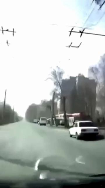 Дерево почти попало по семерке