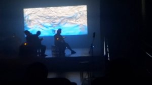 Птицы  Звери