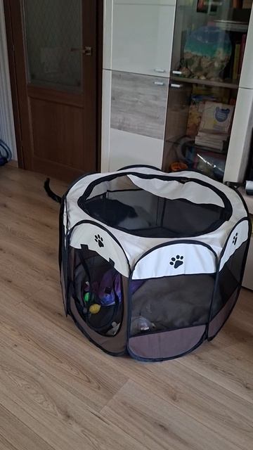 Роки играет🧸