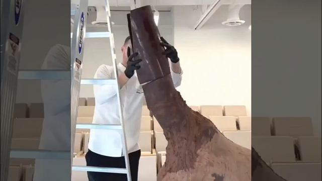 Он действительно одарён