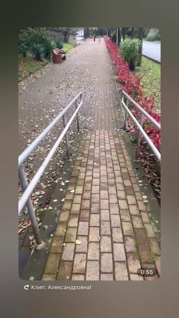 Реально Осень 🍁 ну явно это не Весна! Такое впервые за много лет.