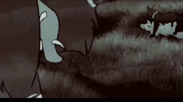 Подписчики! Нажмите и узнайте что здесь! 🍀