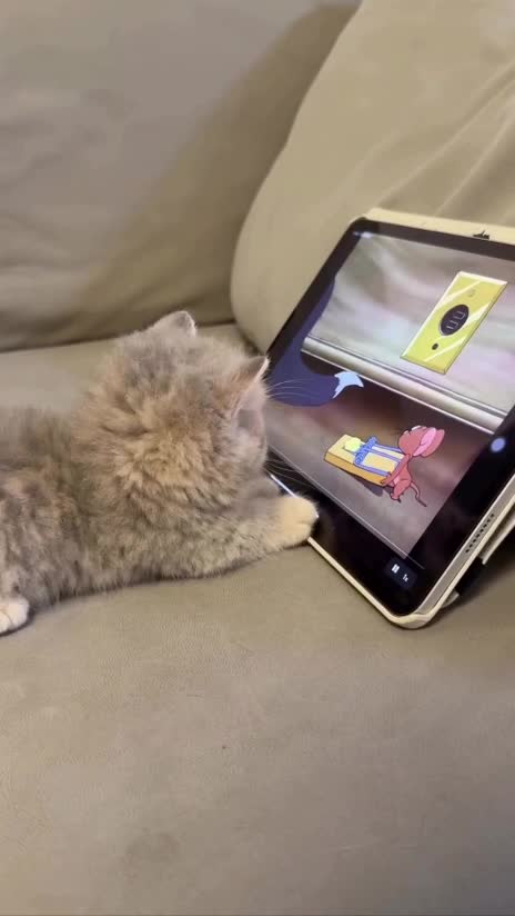 #животные #Милые #видео