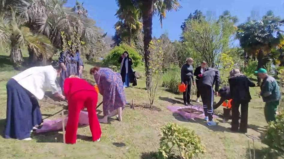 В сочинском 