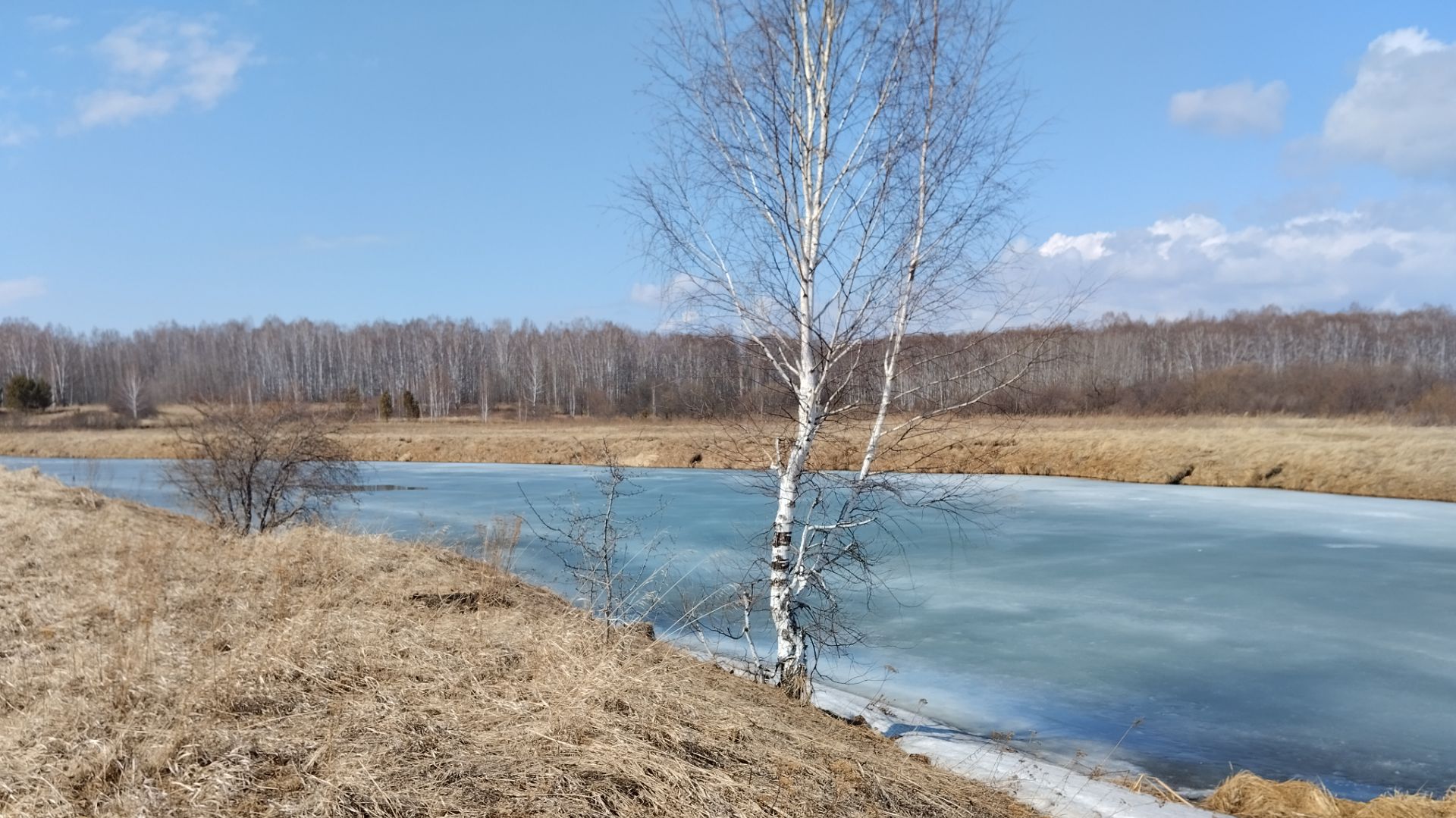Утки и утонувшая машина