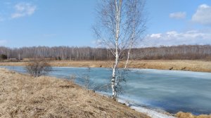 Утки и утонувшая машина