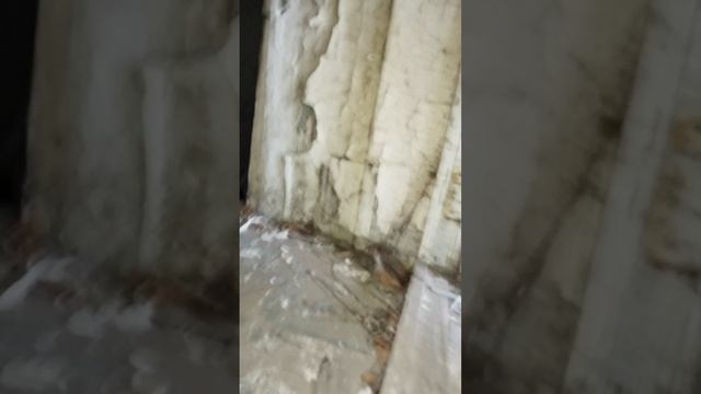 дом писателя(заброшка)