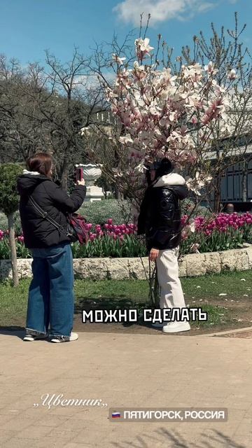 Грустная магнолия в парке „Цветник„. Фотограф -Астахова Мария astakhovaphoto.ru