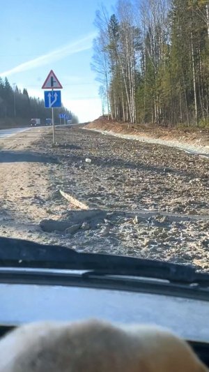 СИТУАЦИЯ СЕГОДНЯ на МЕТАЛЛОКОПЕ, КОГДА в ШТАНЫ ЧУТЬ не НАЛОЖИЛ🫣😂Видео в монтаже