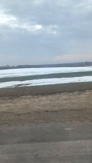 Весеннее поле по дороге